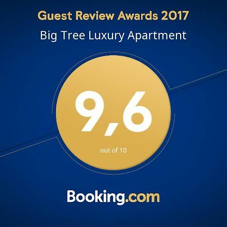 Big Tree Luxury Apartment Rome Exterior photo